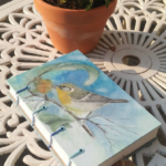 Caderno Passarinho